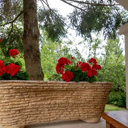 Hajnalka Badacsonytomaj