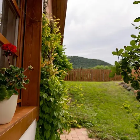 Hajnalka * Badacsonytomaj