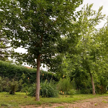 Hajnalka Apartmán *