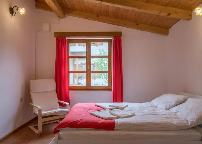 Hajnalka בדקסוניטומאי