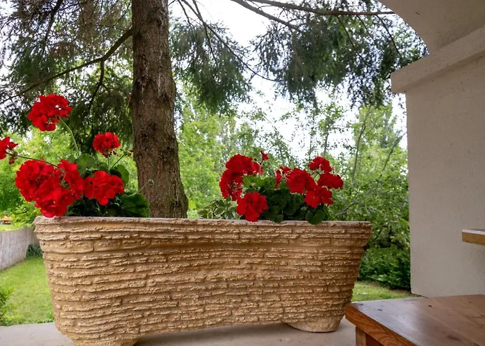 Hajnalka Badacsonytomaj