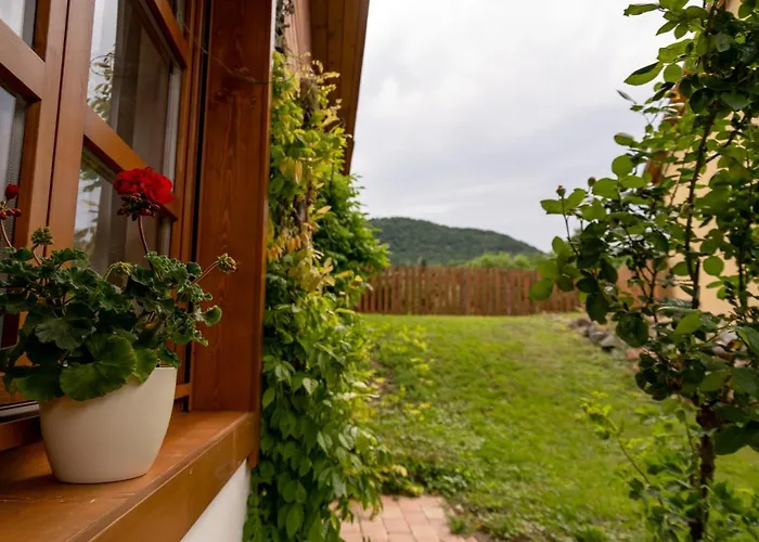 Hajnalka * בדקסוניטומאי