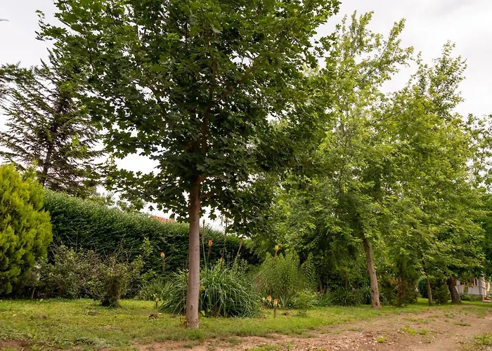 Hajnalka Apartamento *